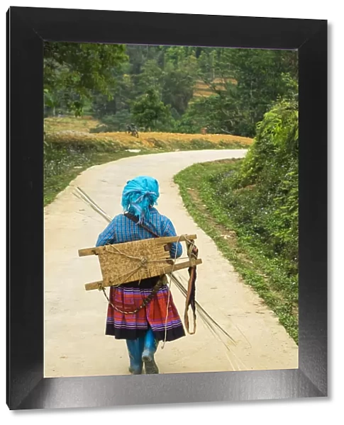 Flower Hmong woman walking along road, nr Bac Ha, nr Sapa, N. Vietnam