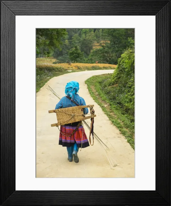 Framed Print : Flower Hmong woman walking along road, nr Bac Ha, nr Sapa, N. Vietnam Framed Print : Flower Hmong woman walking along road, nr Bac Ha, nr Sapa, N. Vietnam