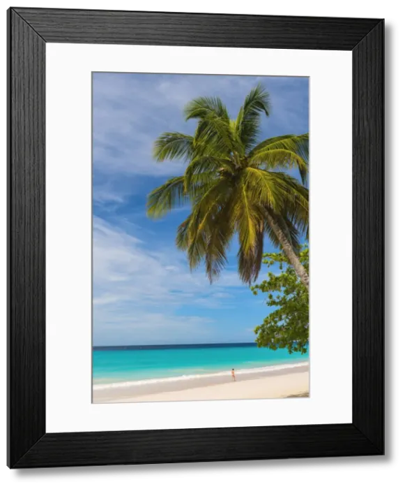 Framed Print : Caribbean, Barbados, Oistins, Miami Beach or Enterprise Beach Framed Print : Caribbean, Barbados, Oistins, Miami Beach or Enterprise Beach
