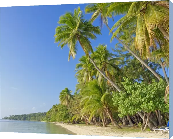 Tropical beach, Nanuya Lailai Island, Yasawa island group, Fiji, South Pacific islands