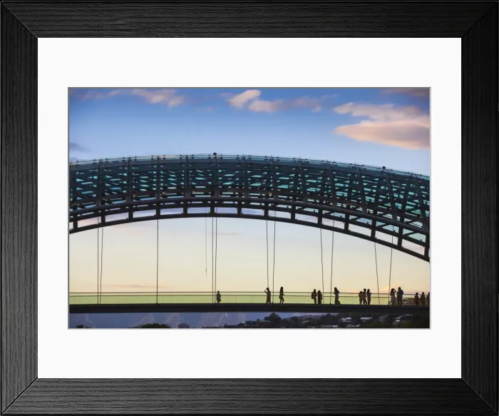 Framed Print : Georgia, Tbilisi, Peace bridge Framed Print : Georgia, Tbilisi, Peace bridge