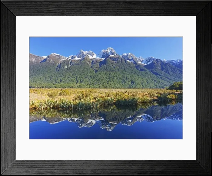 Framed Print : Lake Matheson reflections, Fiordland National Park, Milford Sound, South Island Framed Print : Lake Matheson reflections, Fiordland National Park, Milford Sound, South Island