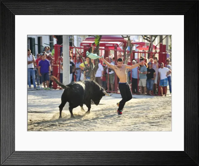 Framed Print : Traditional running of wild bulls during the Barrete Verde (Green Cap) festivities