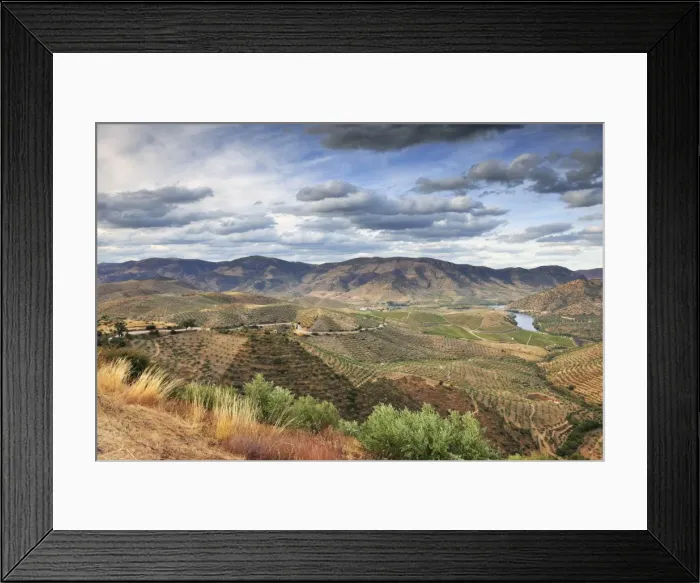 Framed Print : Big areas of olive groves surround Barca d Alva, near the Douro river and Agueda river Framed Print : Big areas of olive groves surround Barca d Alva, near the Douro river and Agueda river