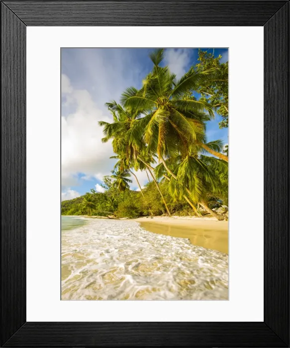 Framed Print : S Framed Print : S