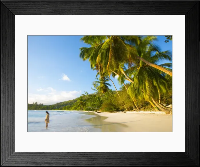 Framed Print : Palm trees and tropical beach, southern Mahe, Seychelles Framed Print : Palm trees and tropical beach, southern Mahe, Seychelles