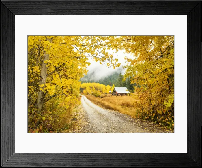 Framed Print : Old Barn in Autumn, Wenatchee National Forest, Washington, USA Framed Print : Old Barn in Autumn, Wenatchee National Forest, Washington, USA