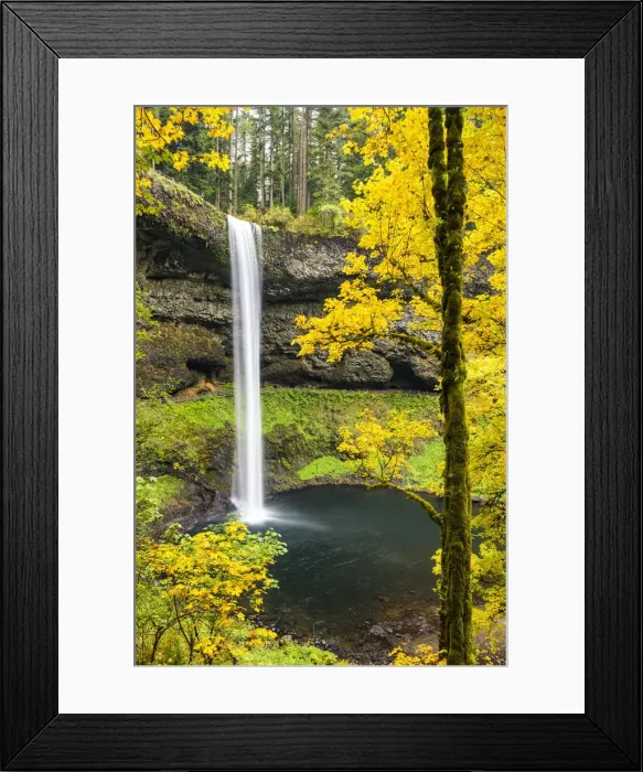 Framed Print : South Falls in Autumn, Silver Falls State Park, Oregon, USA Framed Print : South Falls in Autumn, Silver Falls State Park, Oregon, USA