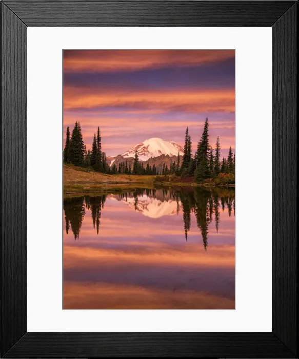 Framed Print : Mt. Rainier Reflecting in Tipsoo Lake at Sunrise, Mt. Rainier National Park, Washington Framed Print : Mt. Rainier Reflecting in Tipsoo Lake at Sunrise, Mt. Rainier National Park, Washington