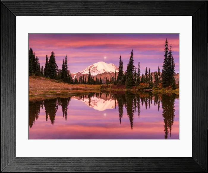 Framed Print : Mt. Rainier Reflecting in Tipsoo Lake at Sunrise, Mt. Rainier National Park, Washington Framed Print : Mt. Rainier Reflecting in Tipsoo Lake at Sunrise, Mt. Rainier National Park, Washington