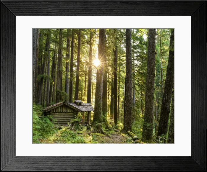 Framed Print : Forest Cabin, Sol Duc, Olympic National Park, Washington, USA Framed Print : Forest Cabin, Sol Duc, Olympic National Park, Washington, USA