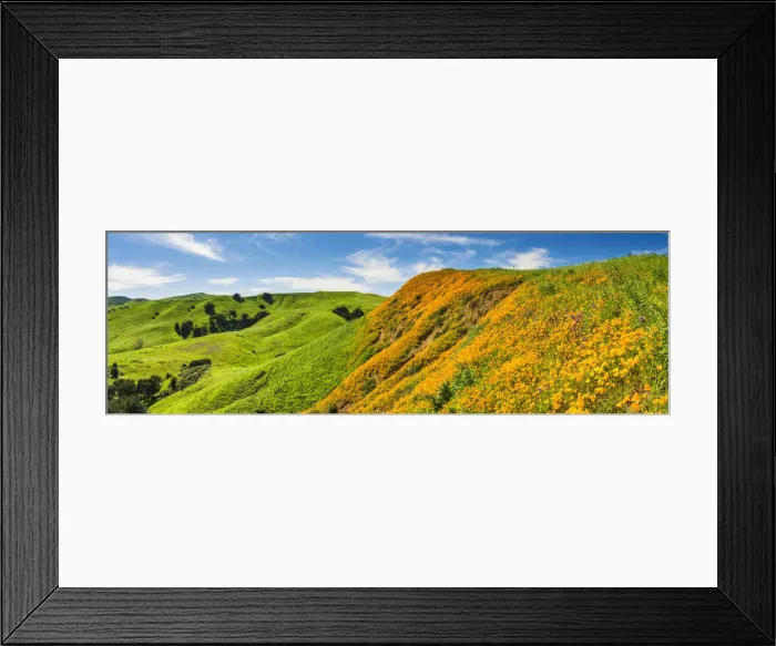 Framed Print : California Poppies Blooming in Chino Hills State Park, Los Angeles, California, USA