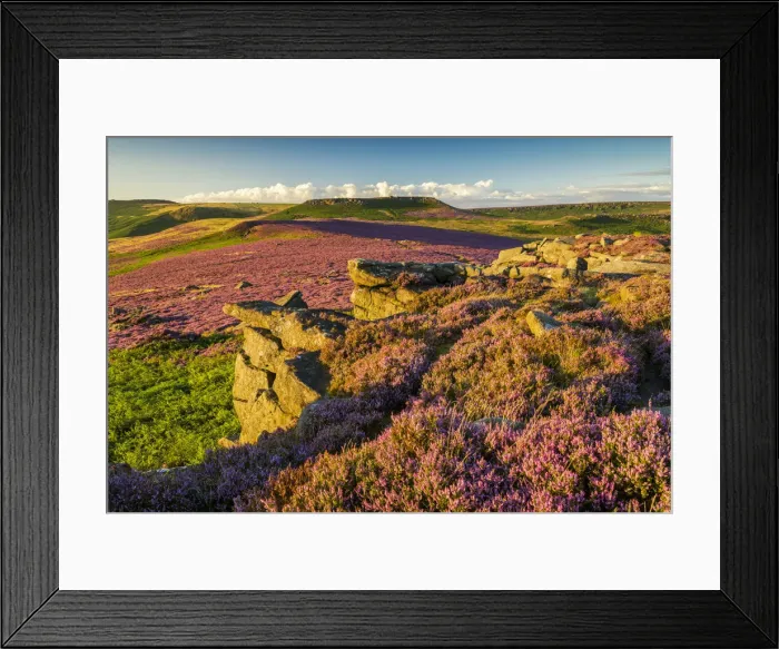 Framed Print : Heather in Bloom on Owler Tor, Peak District National Park, Derbyshire, England Framed Print : Heather in Bloom on Owler Tor, Peak District National Park, Derbyshire, England