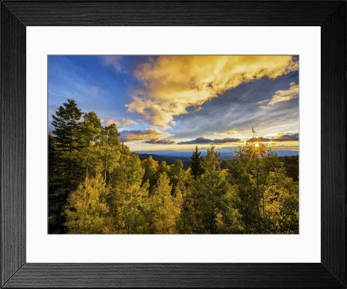 Framed Print : Santa Fe National Forest at Sunset in Autumn, Santa Fe, New Mexico, USA Framed Print : Santa Fe National Forest at Sunset in Autumn, Santa Fe, New Mexico, USA