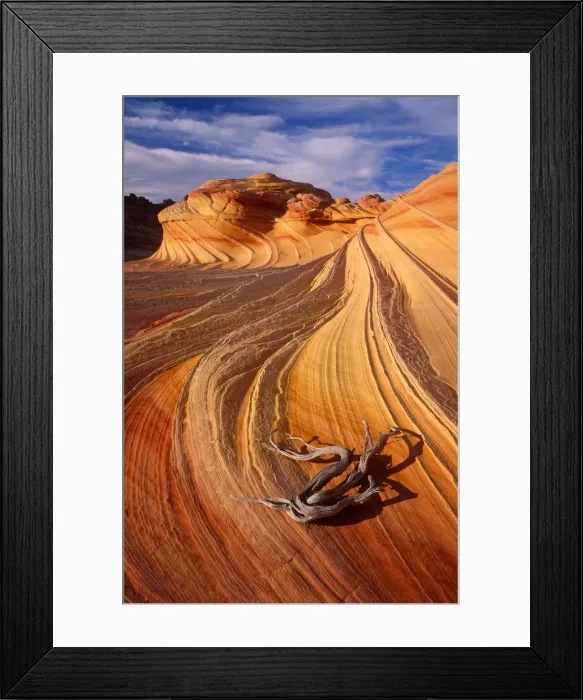 Framed Print : Petrified Sand Dunes, Colorado Plateau, Arizona, USA Framed Print : Petrified Sand Dunes, Colorado Plateau, Arizona, USA