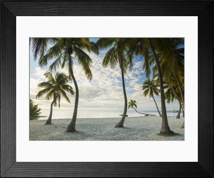 Framed Print : Tropical Beach, Islamorada, Florida Keys, USA Framed Print : Tropical Beach, Islamorada, Florida Keys, USA