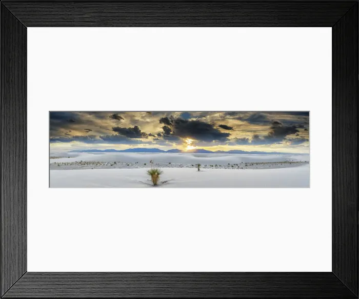 Framed Print : Yucca Plants, White Sands National Monument, Alamogordo, New Mexico, USA