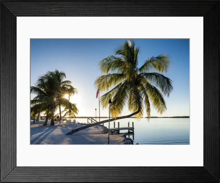 Framed Print : Palm Trees & Jetty, Islamorada, Florida Keys, USA Framed Print : Palm Trees & Jetty, Islamorada, Florida Keys, USA