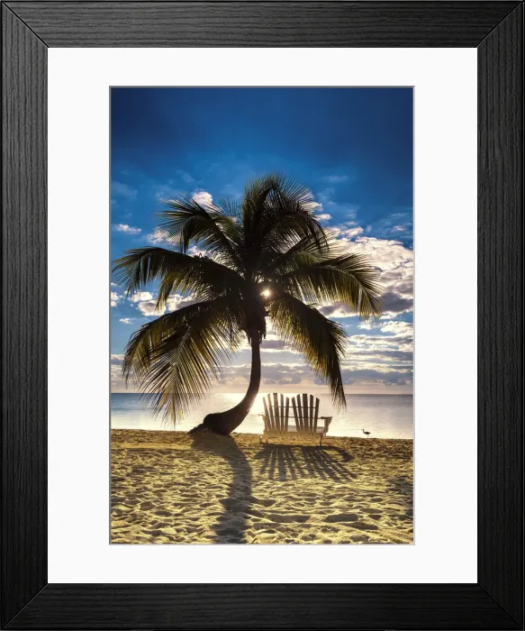Framed Print : Palm Tree & Love Seat, Islamorada, Florida Keys, USA