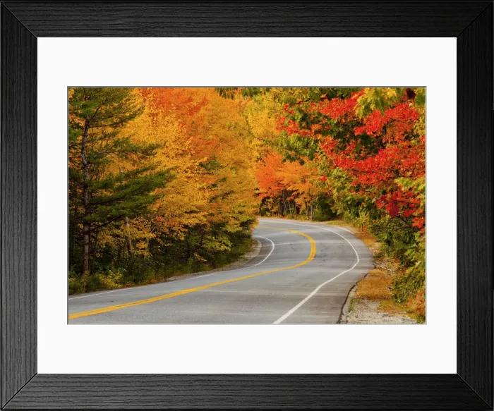 Framed Print : Road in Autumn, Acadia National Park, Maine, USA
