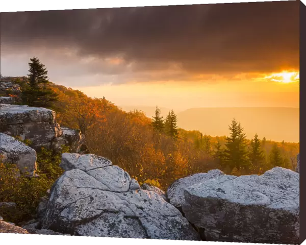 Bear Rocks at Sunrise, Dolly Sods Wilderness, West Virginia, USA