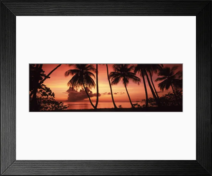 Framed Print : Palm Trees at Sunset, Pigeon Point, Tobago, Caribbean Framed Print : Palm Trees at Sunset, Pigeon Point, Tobago, Caribbean