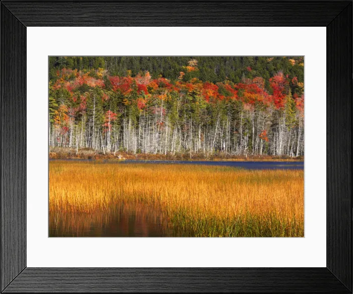 Framed Print : Upper Hadlock Pond in Autumn, Acadia National Park, Maine, USA Framed Print : Upper Hadlock Pond in Autumn, Acadia National Park, Maine, USA