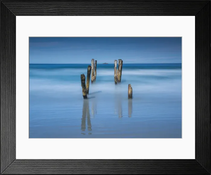 Framed Print : Old Pier Posts, Dunedin, New Zealand Framed Print : Old Pier Posts, Dunedin, New Zealand