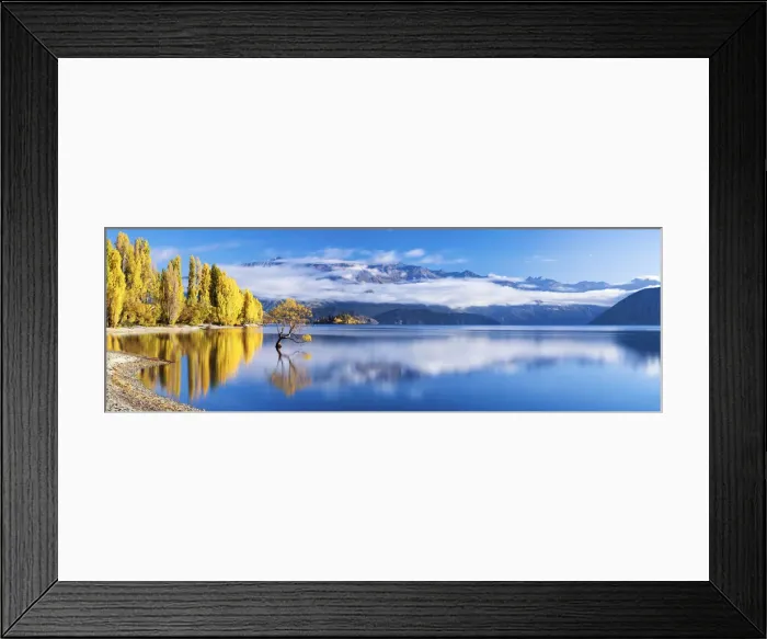 Framed Print : Wanaka Tree Reflections, Lake Wanaka, New Zealand Framed Print : Wanaka Tree Reflections, Lake Wanaka, New Zealand