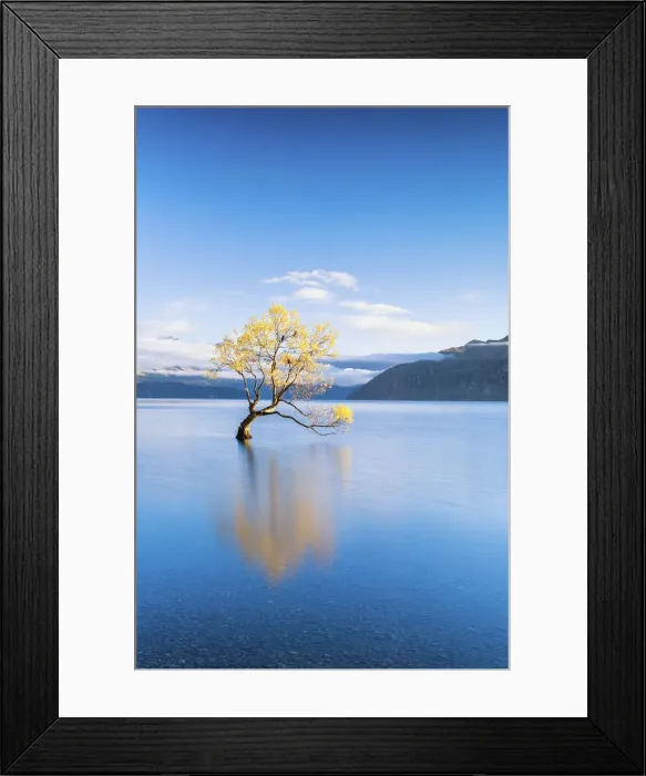 Framed Print : Wanaka Tree Reflections, Lake Wanaka, New Zealand Framed Print : Wanaka Tree Reflections, Lake Wanaka, New Zealand