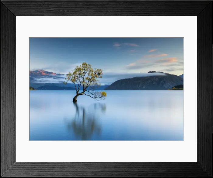 Framed Print : Wanaka Tree Reflections, Lake Wanaka, New Zealand Framed Print : Wanaka Tree Reflections, Lake Wanaka, New Zealand