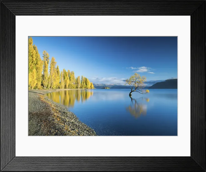 Framed Print : Wanaka Tree Reflections, Lake Wanaka, New Zealand Framed Print : Wanaka Tree Reflections, Lake Wanaka, New Zealand