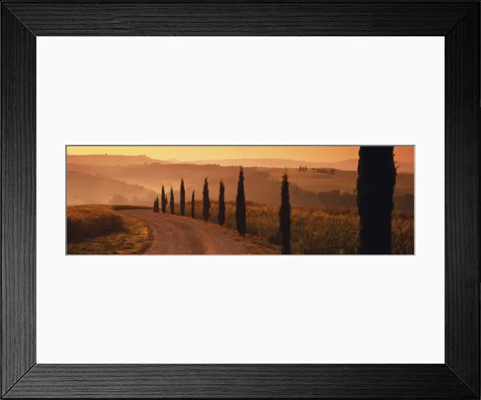 Framed Print : Road & Cypress Trees, Val d Orcia, Tuscany, Italy Framed Print : Road & Cypress Trees, Val d Orcia, Tuscany, Italy