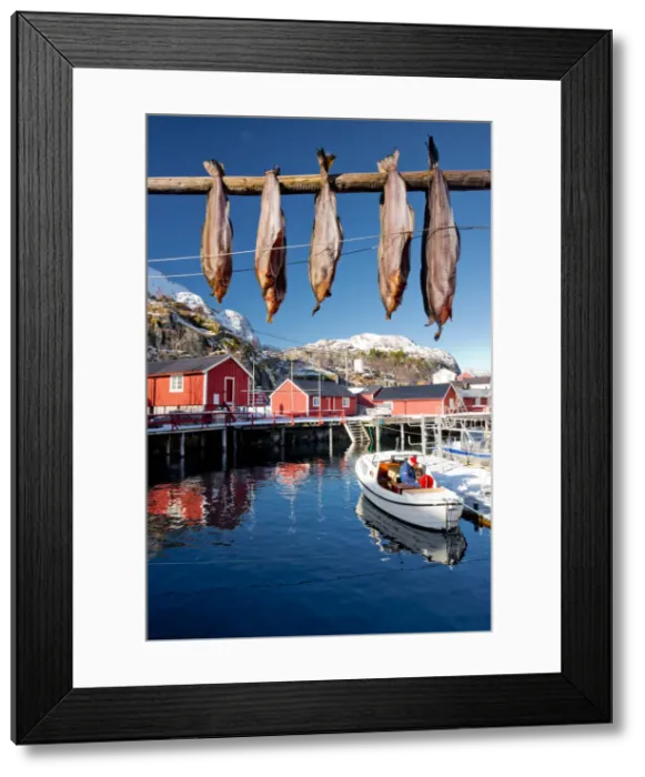 Framed Print : Nusfjord, Lofoten Islands, Norway Framed Print : Nusfjord, Lofoten Islands, Norway