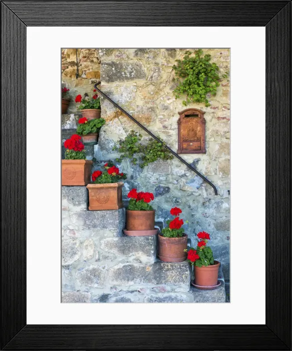 Framed Print : Staircase of Geraniums, Tuscany, Italy Framed Print : Staircase of Geraniums, Tuscany, Italy