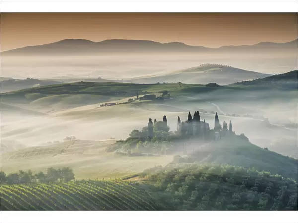 Mist around Belvedere, Val d Orcia, Tuscany, Italy