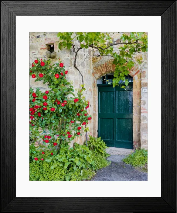 Framed Print : Green Door & Roses, Monticchiello, Tuscany, Italy Framed Print : Green Door & Roses, Monticchiello, Tuscany, Italy