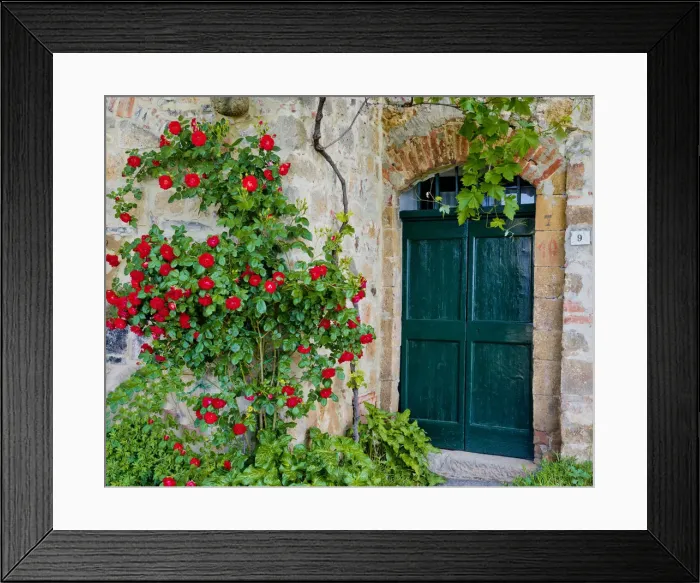 Framed Print : Green Door & Roses, Monticchiello, Tuscany, Italy Framed Print : Green Door & Roses, Monticchiello, Tuscany, Italy