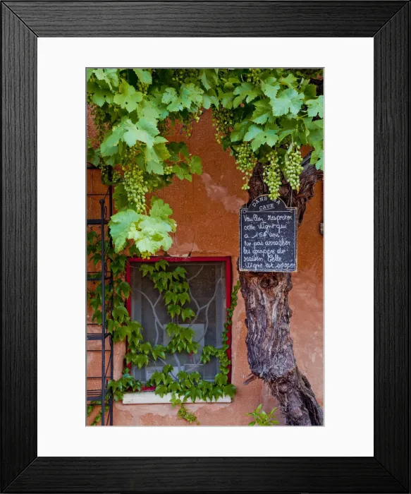 Framed Print : Grapevine Framing Restaurant Window, Roussillon, Provence, France Framed Print : Grapevine Framing Restaurant Window, Roussillon, Provence, France