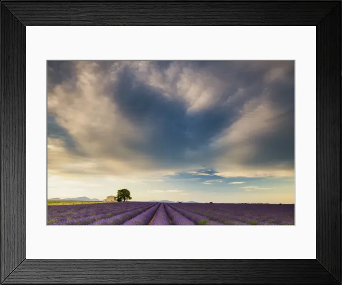 Framed Print : Villa & Field of Lavender, Provence, France Framed Print : Villa & Field of Lavender, Provence, France