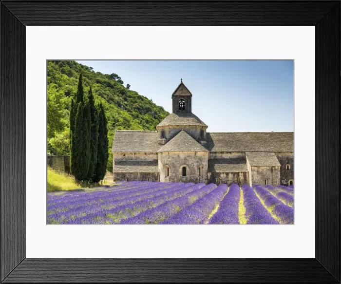 Framed Print : Abbaye de Senanque, Provence, France