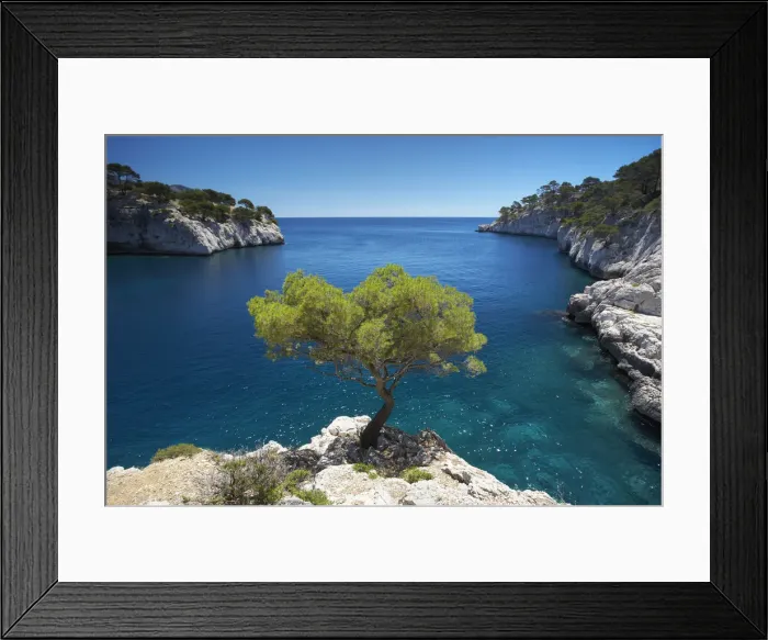 Framed Print : Lone Pine Tree, Les Calanques, Cassis, Provence, France Framed Print : Lone Pine Tree, Les Calanques, Cassis, Provence, France