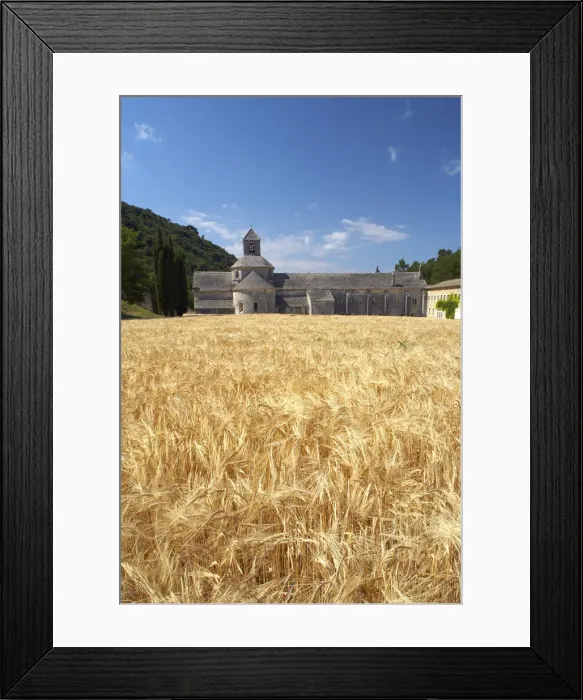 Framed Print : Field of Barley & Senanque Abbey, Alpes de Haute, Provence, France