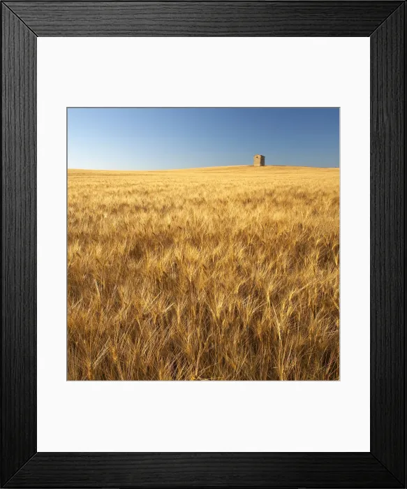 Framed Print : Lone Barn in Field of Barley, near Puimoisson, Alpes de Haute, Provence, France Framed Print : Lone Barn in Field of Barley, near Puimoisson, Alpes de Haute, Provence, France