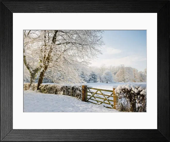 Framed Print : Country Gate in Winter, Norfolk, England Framed Print : Country Gate in Winter, Norfolk, England