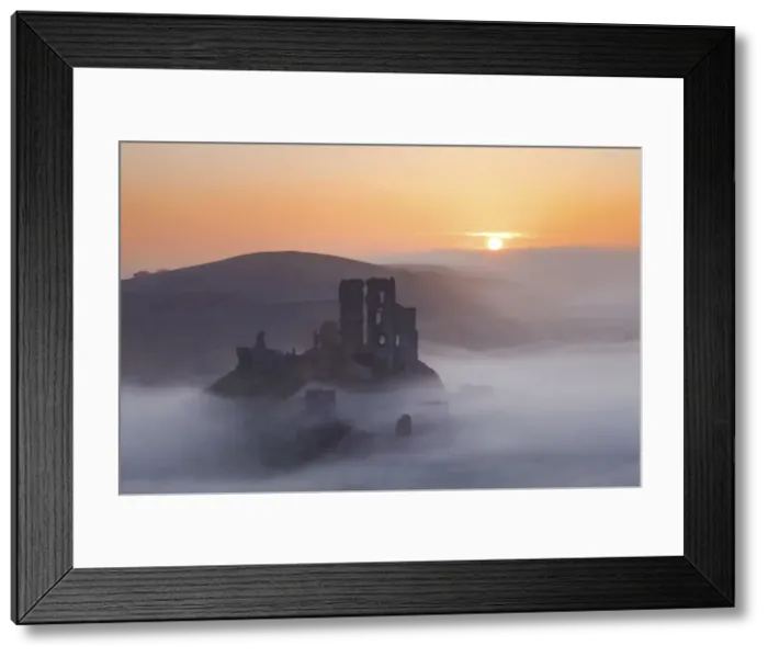 Framed Print : Mist below Corfe Castle at Sunrise, Dorset, England Framed Print : Mist below Corfe Castle at Sunrise, Dorset, England