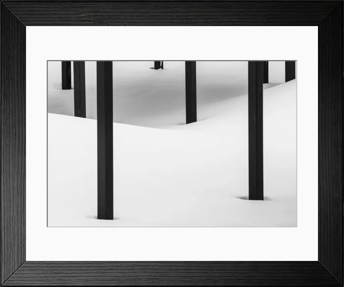 Framed Print : Posts in Snow, Jasper National Park, Alberta, Canada Framed Print : Posts in Snow, Jasper National Park, Alberta, Canada