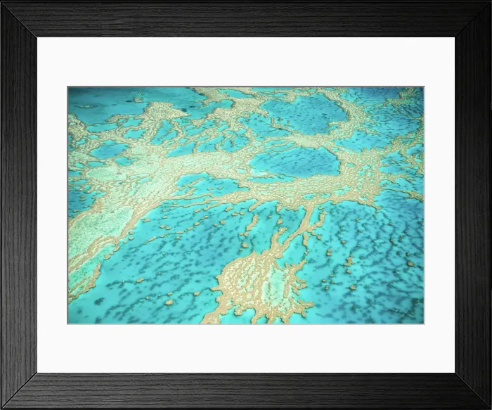 Framed Print : Great Barrier Reef, Queensland, Australia Framed Print : Great Barrier Reef, Queensland, Australia