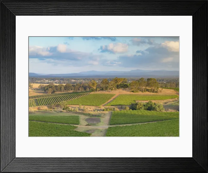 Framed Print : View of vineyards, Hunter Valley, New South Wales, Australia Framed Print : View of vineyards, Hunter Valley, New South Wales, Australia