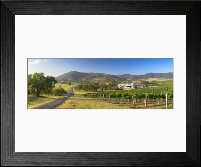 Framed Print : Ben Ean Wine Estate, Hunter Valley, New South Wales, Australia Framed Print : Ben Ean Wine Estate, Hunter Valley, New South Wales, Australia